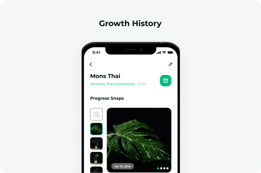 Auto-Organized Plant Growth Tracking-image