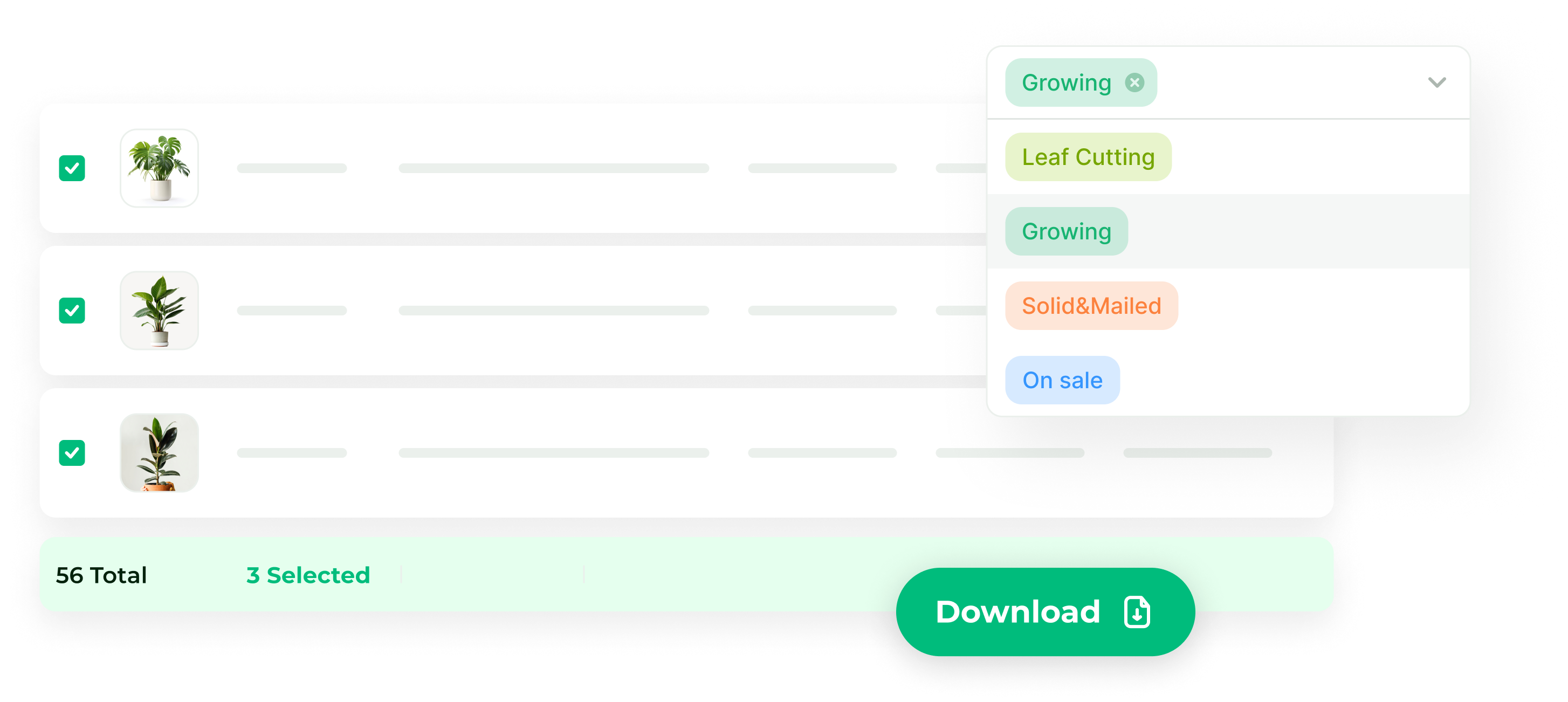 plant record speadsheet