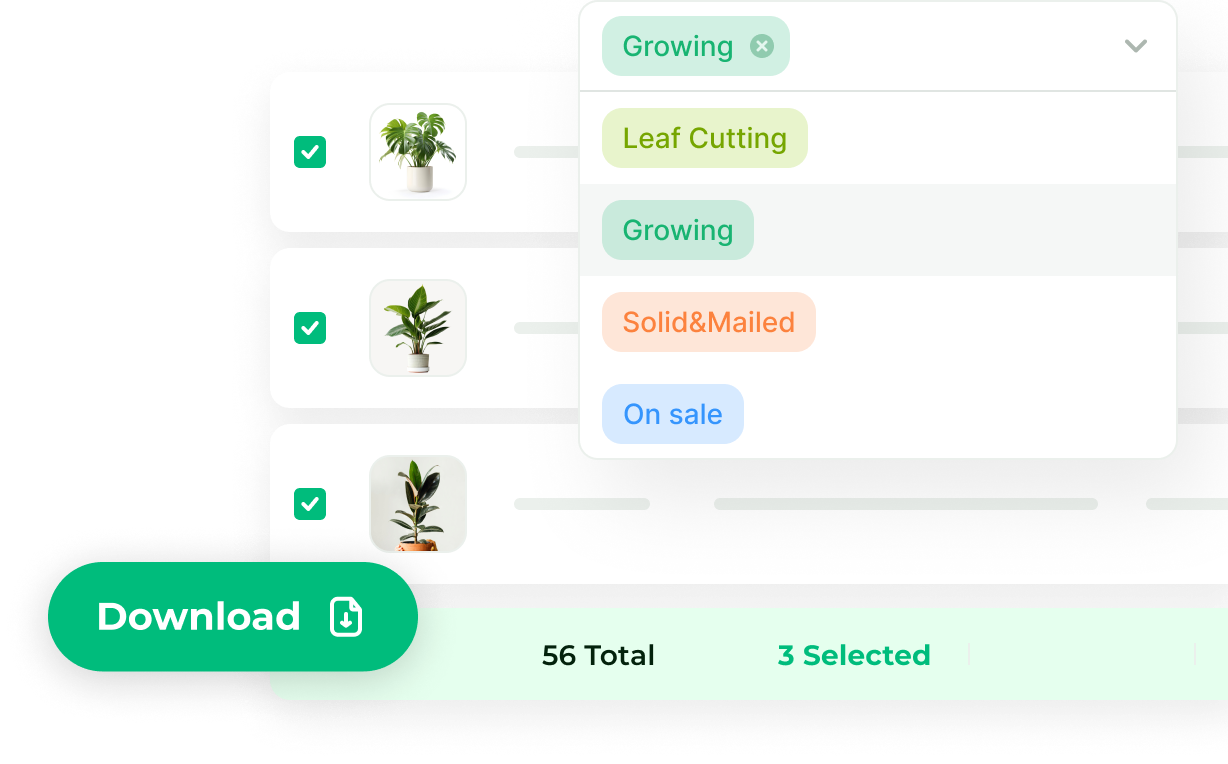 plant record speadsheet